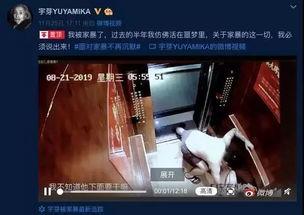 谁爆料家暴视频大全集下载,全网热议视频大全集深度解析